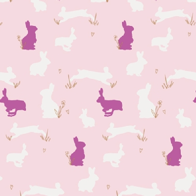 Art Gallery Fabrics - Knits - Anna Elise - Bunny Binkies in Fluff