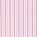 Free Spirit - Sadies Dance Card - Stripes in Pink