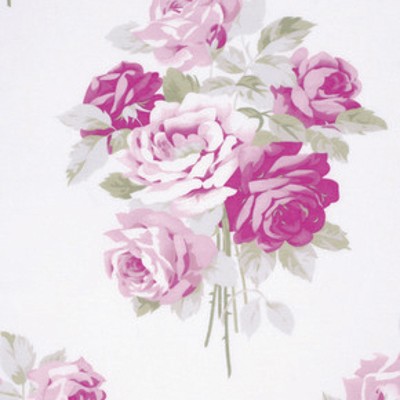 Free Spirit - Slipper Roses - Slipper Rose in White