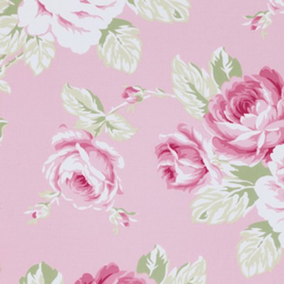 Free Spirit - Sunshine Rose - Full Bloom Roses in Pink