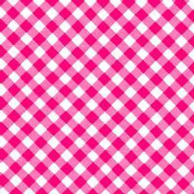 Lakehouse Drygoods - Pam Kitty Picnic - Gingham in Red